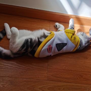 说出你的愿望吧于2019-11-28 11:39发布的图片