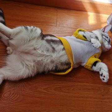 说出你的愿望吧于2019-11-28 11:39发布的图片