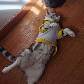 说出你的愿望吧于2019-11-28 11:39发布的图片