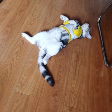 说出你的愿望吧于2019-11-28 11:39发布的图片