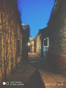 icefirefly的个人资料头像