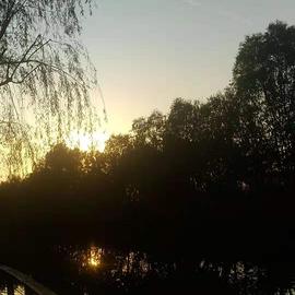 已注销于2019-11-29 09:37发布的图片