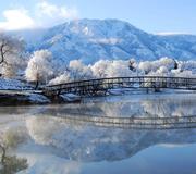 小水牛_新手的个人资料头像