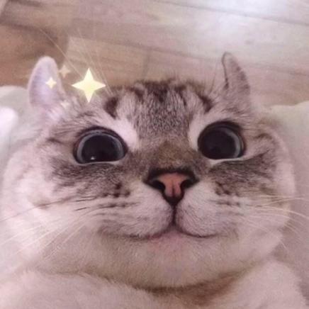 已注销132于2019-11-29 13:51发布的图片