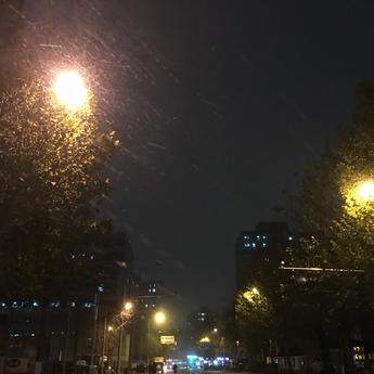 赶风车吗于2019-11-29 19:42发布的图片