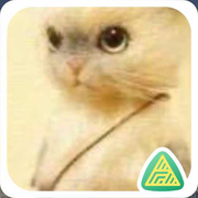 宋廉的个人资料头像