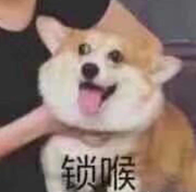 wanwan3的个人资料头像