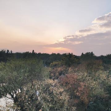 静心关注自我于2019-11-29 22:01发布的图片