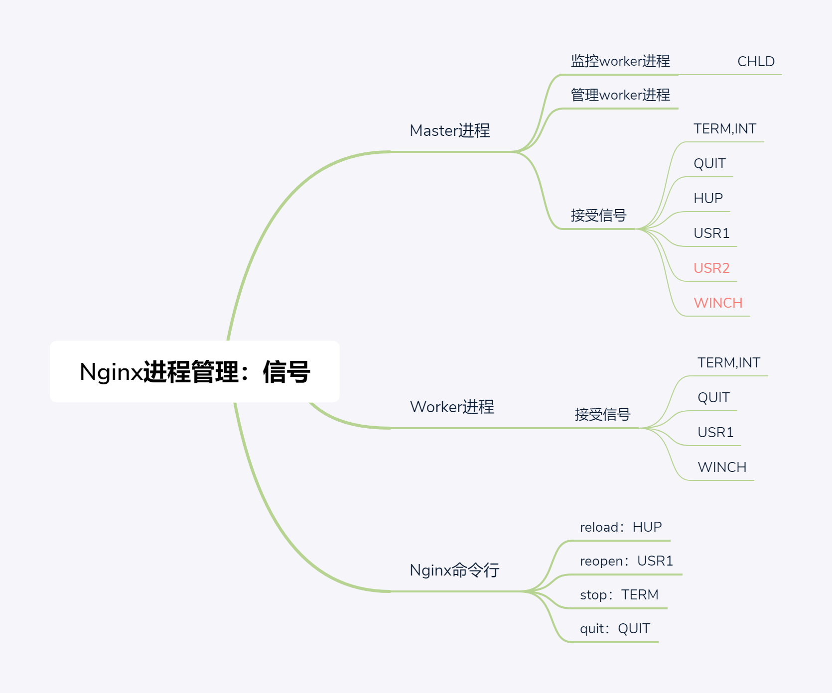 Nginx进程管理：信号
