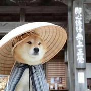 用户902350448068的个人资料头像