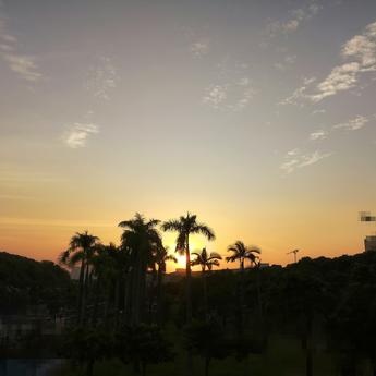 晨晨ya于2019-11-03 17:42发布的图片