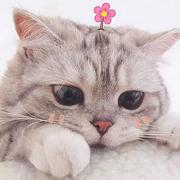 Odelette的个人资料头像