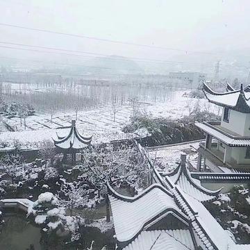 璋20101010于2019-11-04 10:53发布的图片