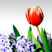 evan7652的个人资料头像