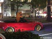 下班恐龙的个人资料头像