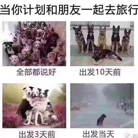 李广志于2019-11-05 11:31发布的图片