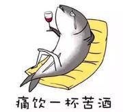 咸鱼先生的个人资料头像