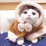 hold_on的个人资料头像