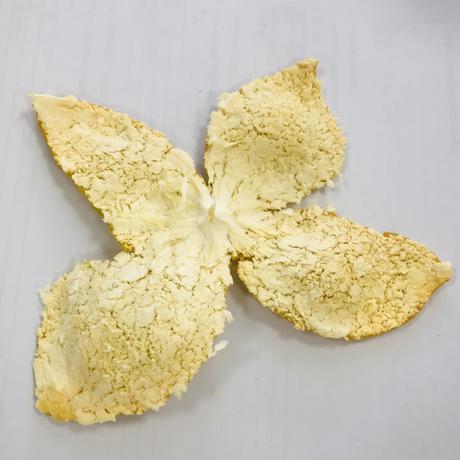问征夫以前路于2019-11-06 12:46发布的图片