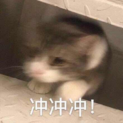 在掘金43859的个人资料头像