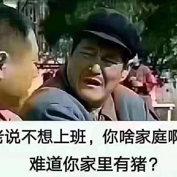 胖先森于2019-11-06 16:06发布的图片