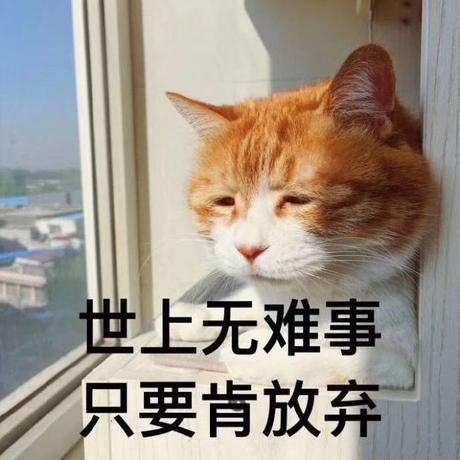 林_小猫于2019-11-06 20:20发布的图片
