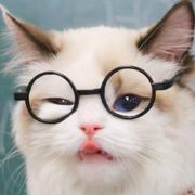 secretsmile的个人资料头像