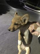 茂木的个人资料头像