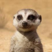 慷慨的余生的个人资料头像