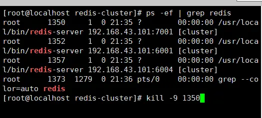 RedisCluster实操10