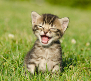 Xu_Lrkor的个人资料头像