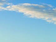 用户7525209443334416283的个人资料头像