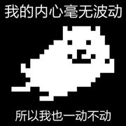 野生橙序猿的个人资料头像