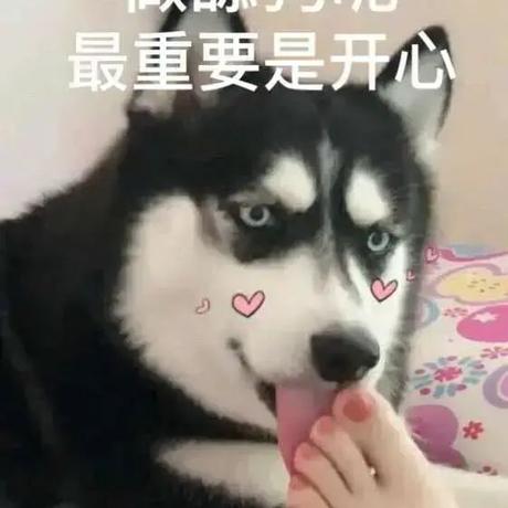 yoUng9527于2019-11-08 15:15发布的图片
