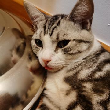 说出你的愿望吧于2019-12-01 18:04发布的图片