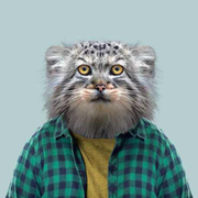 alexchen8062的个人资料头像