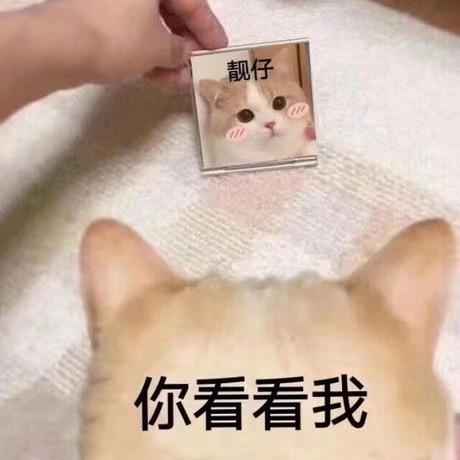 萌萌的小鱼干于2019-12-01 23:58发布的图片