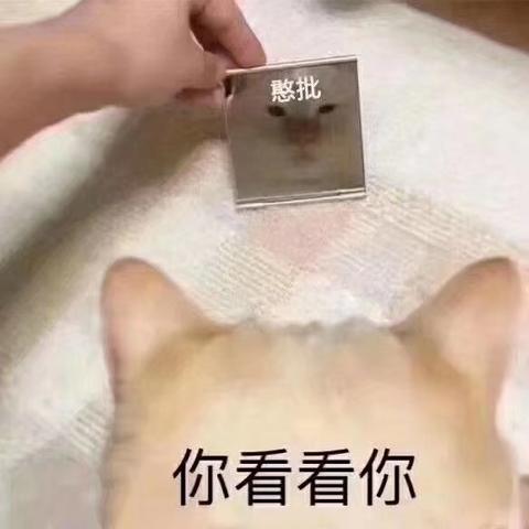 萌萌的小鱼干于2019-12-01 23:58发布的图片