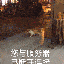 2501224066于2019-12-10 09:11发布的图片