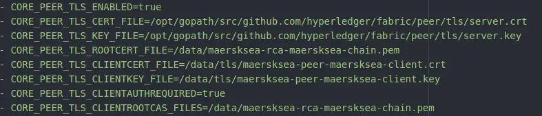 \[外链图片转存失败,源站可能有防盗链机制,建议将图片保存下来直接上传(img-LM6KkLKu-1575941979737)(hyperledger-fabric-tls/peer-env.png)\]