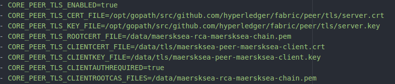 \[外链图片转存失败,源站可能有防盗链机制,建议将图片保存下来直接上传(img-LM6KkLKu-1575941979737)(hyperledger-fabric-tls/peer-env.png)\]