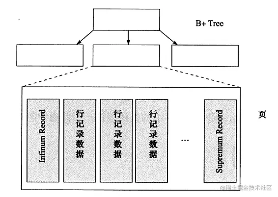 B+树页结构