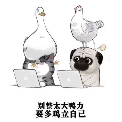 单引号于2019-12-10 13:17发布的图片