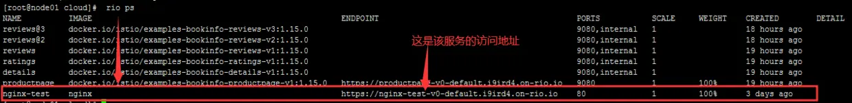 刚部署的nginx进程