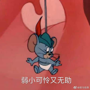 鱼咯的个人资料头像