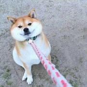 用户6891983232451169019的个人资料头像