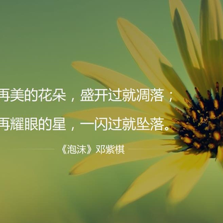 拜小白于2019-12-11 10:37发布的图片