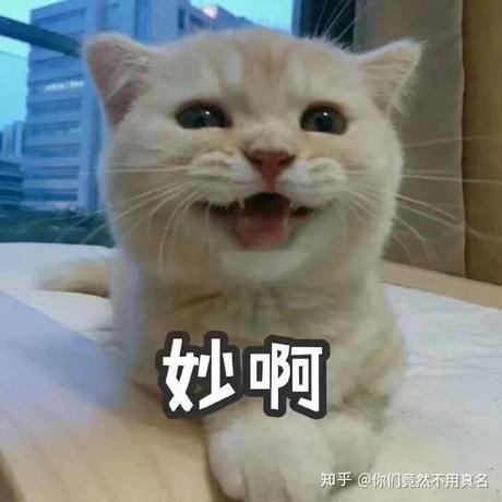 又是美好的一天于2019-12-11 16:55发布的图片