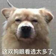 壳燕麦粉飞翔的平头哥的个人资料头像