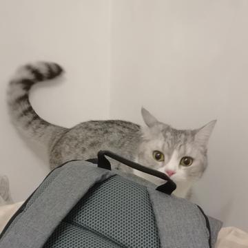 nothingToDo于2019-12-12 17:05发布的图片